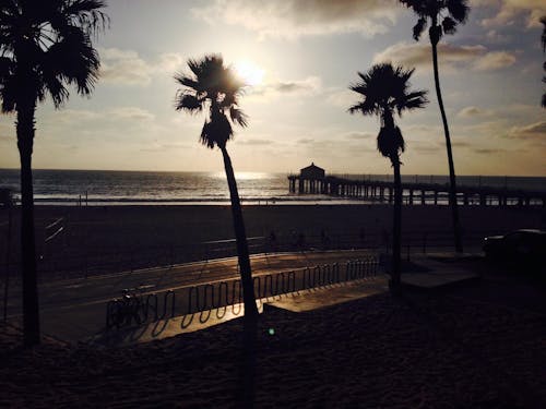 Free stock photo of beach, la, los angeles