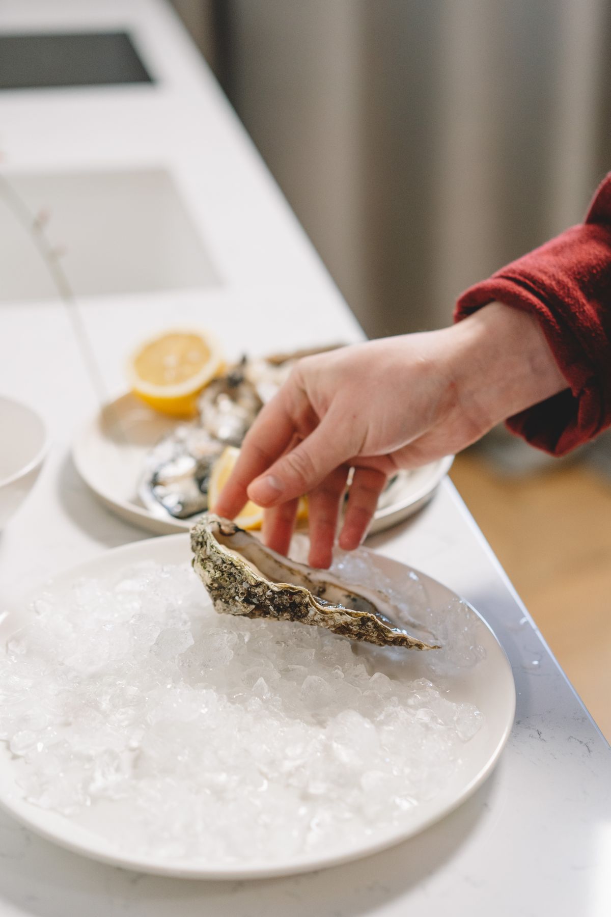 Fine de Claire Verte oyster opened on ice, showing characteristic blue-green gill colouration from marennine pigment accumulation
