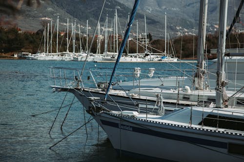 Free Boats Moored in the Harbor Stock Photo