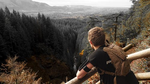 Free Man in Black Shirt and Brown Backpack Leaning on Brown Wooden Handrail Looking over Green Leaf Pine Trees and Creek Stock Photo