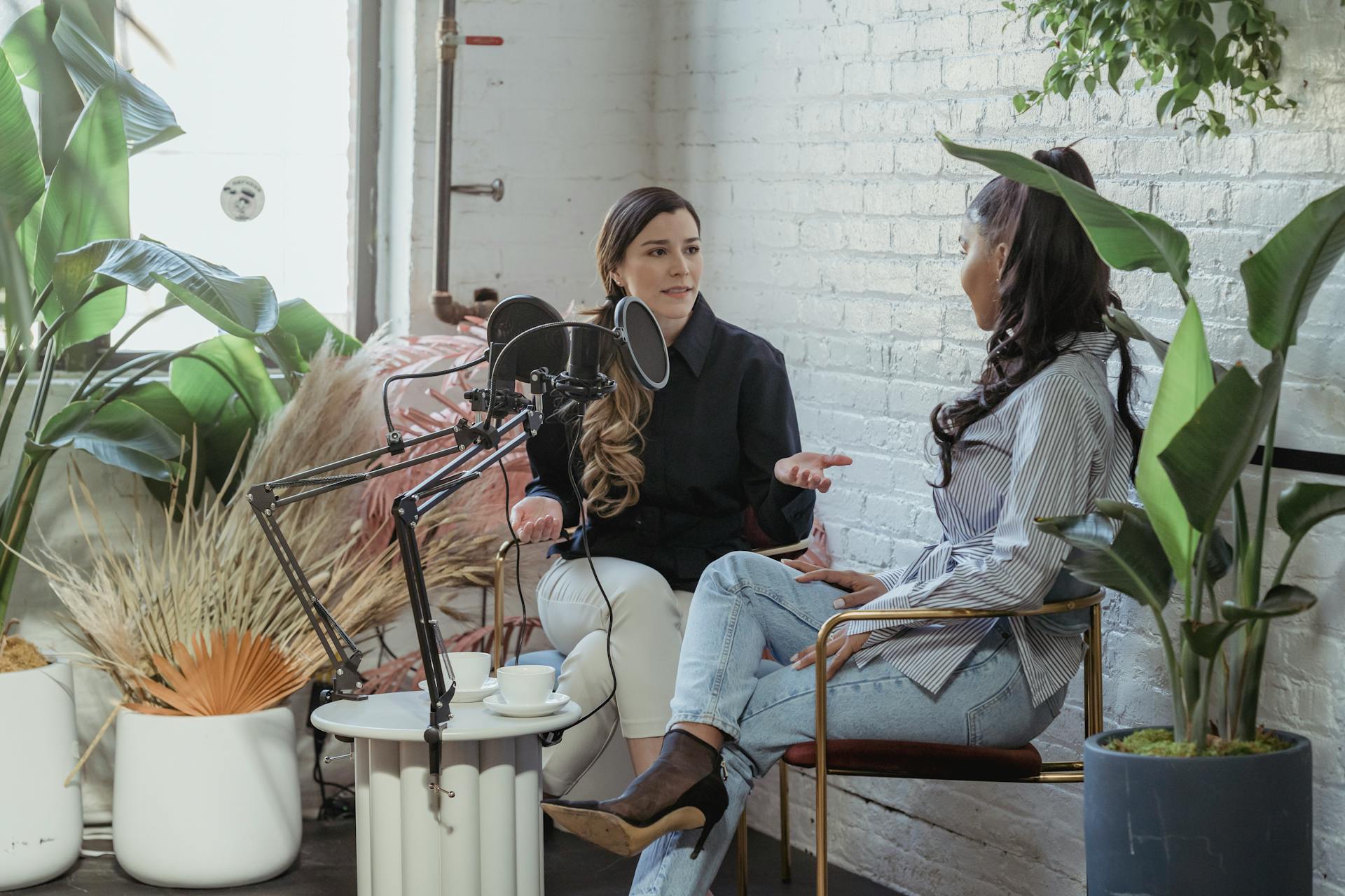 Multiracial trendy women chatting during podcast in studio