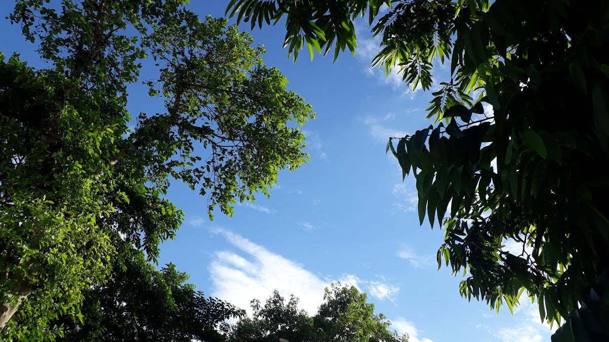 Person using a smartphone app with a conversational chat interface