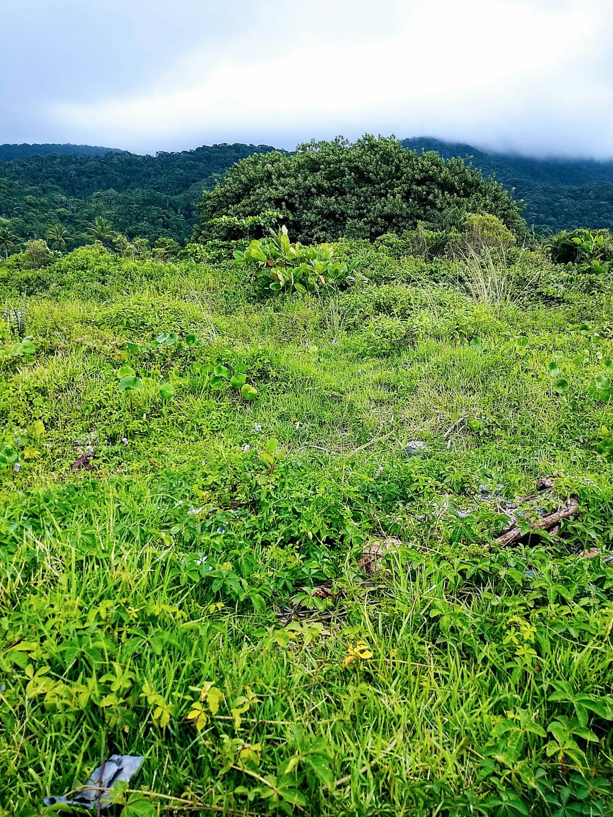 Designer collaborating with an AI tool on a digital tablet