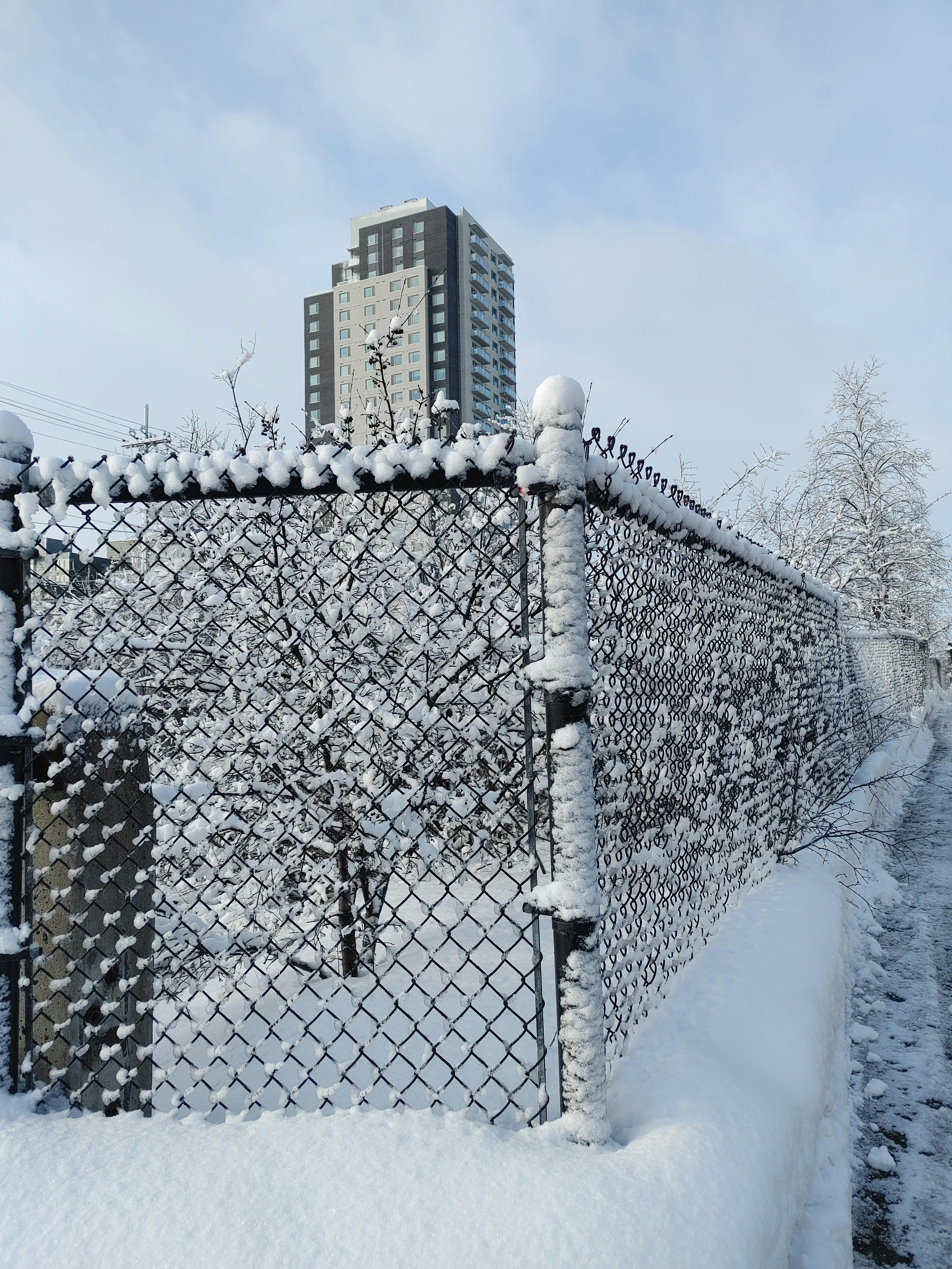Night sky with stars and a bright moon above a calm sea