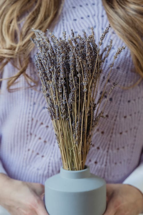 Free Woman with bunch of lavender flowers in vase Stock Photo