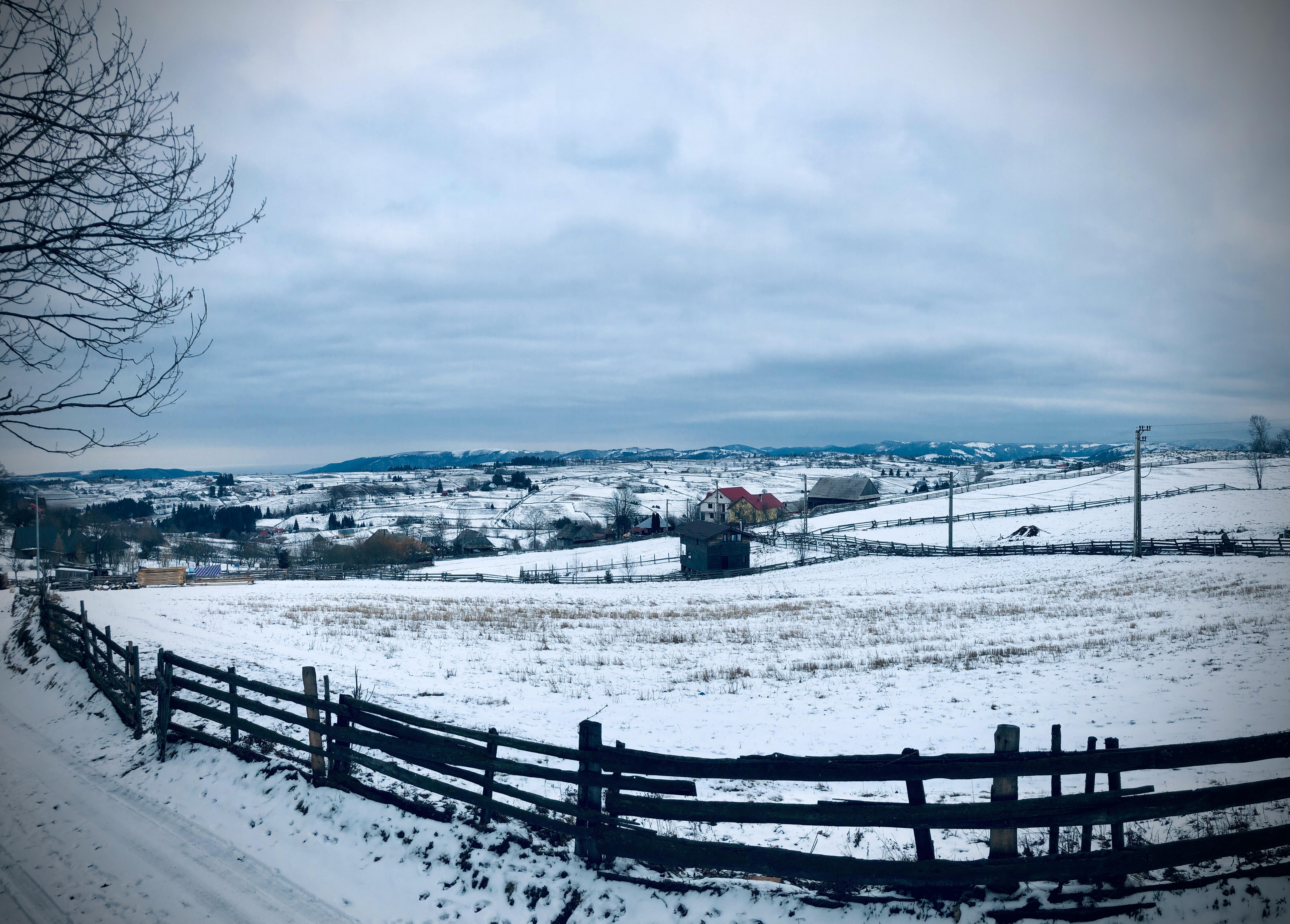 Family at home practicing healthy habits together