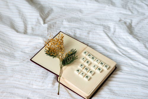 Scrabble Tiles over a Book