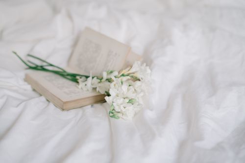 Free An open book with delicate white flowers on soft white fabric, evoking a sense of calm and elegance. Stock Photo