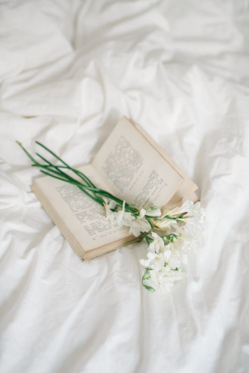 Free A serene scene of an open book with delicate white flowers on a soft white bedspread. Stock Photo