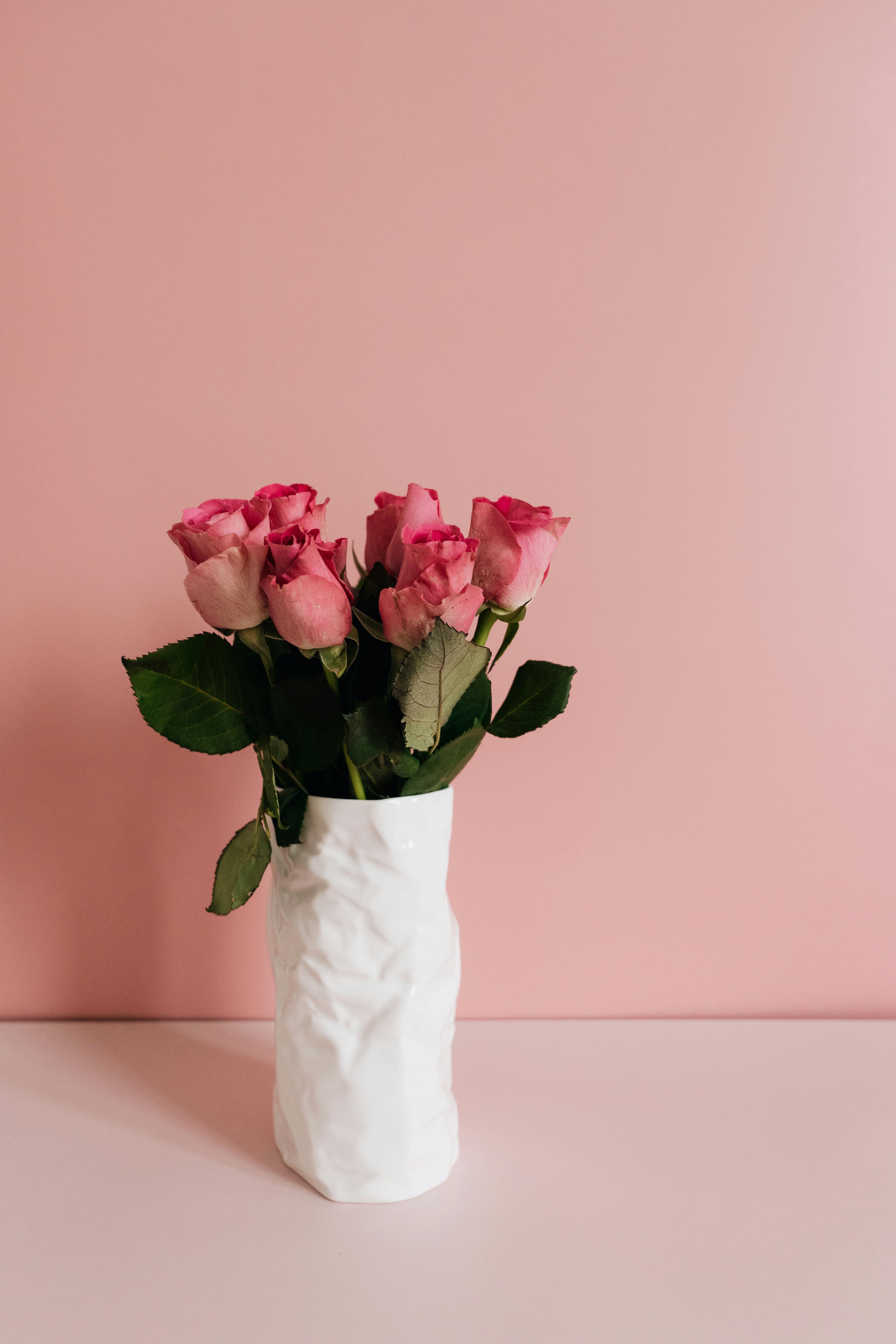 A stylish arrangement of pink roses in a textured white vase against a pink background.