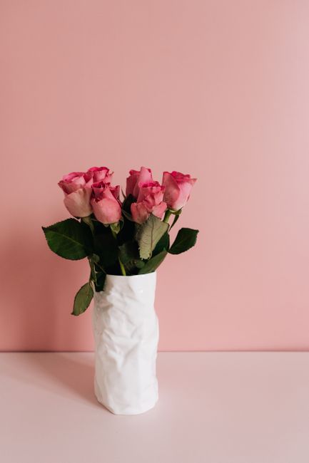 A stylish arrangement of pink roses in a textured white vase against a pink background.