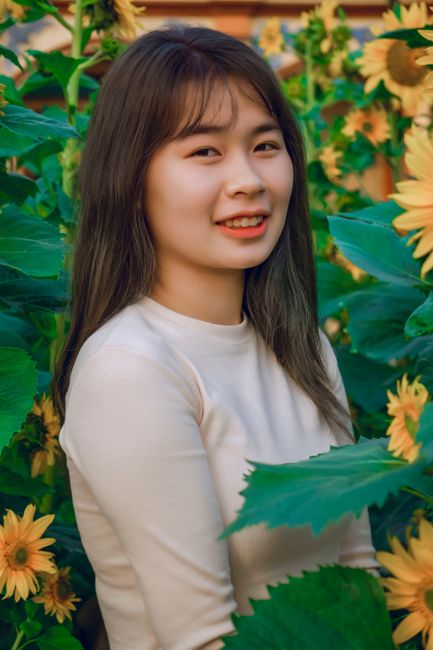 Charming young woman smiling while surrounded by lush sunflower blossoms, conveying warmth and joy.