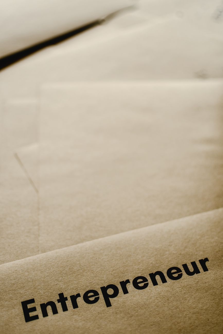 Empreendedores e empresas: Factores determinantes da intensidade e qualidade do desenvolvimento