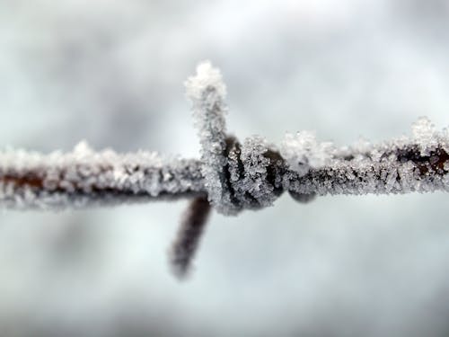 Close Up Fotografie Van Ijs Bedekt Metaaldraad