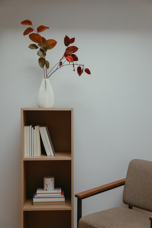 Gratis Fotos de stock gratuitas de decoración interior, diseño minimalista, estante de libros Foto de stock