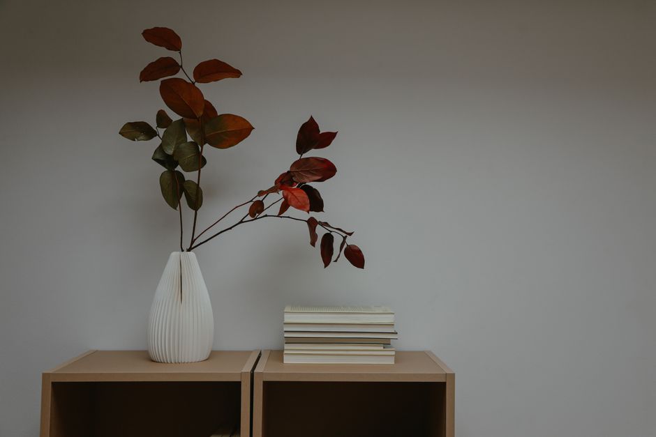A minimalist interior featuring a vase with leaves and a stack of books on a wooden shelf.