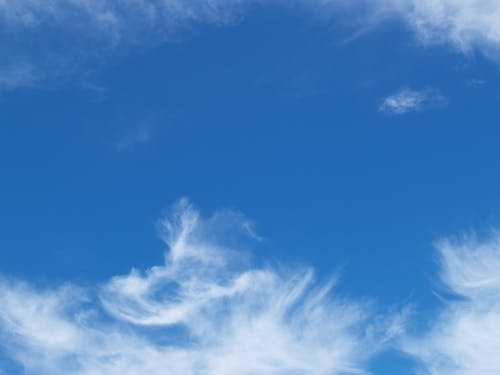 คลังภาพถ่ายฟรี ของ skyscape, ขาว, ครึ้มเมฆ