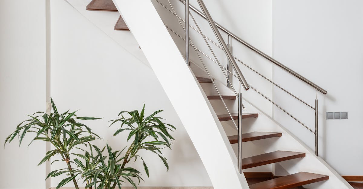 How do you get rid of brown recluse spiders in your house