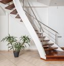 Contemporary wooden staircase with metal railings above ceramic floor with green plant in pot in light house