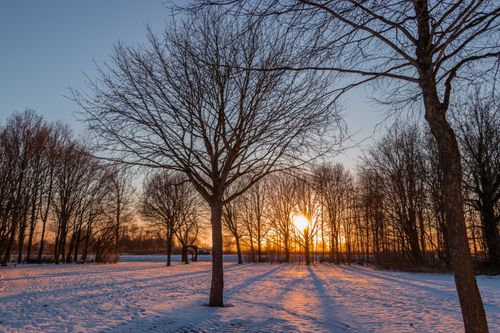 Free Scenic winter sunset with bare trees casting shadows over a snowy field, capturing the serene golden hour glow. Stock Photo