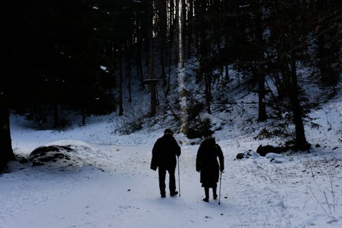 Foto profissional grátis de aventura, caminhada, com frio