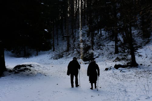 Two Person Walking on Snow