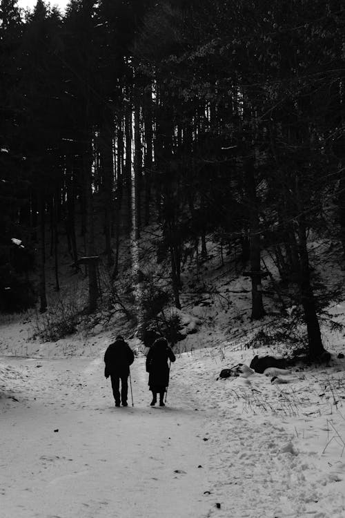 Man and a Woman Walking in the Forest in Winter