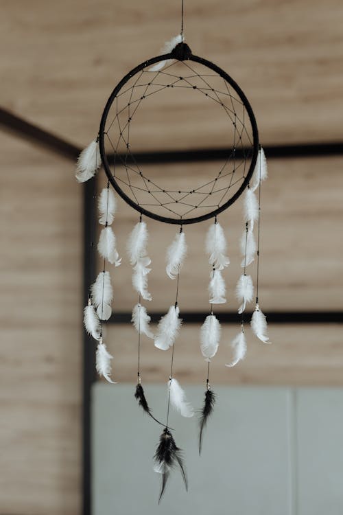 Hanging Black Dreamcatcher With White Feathers