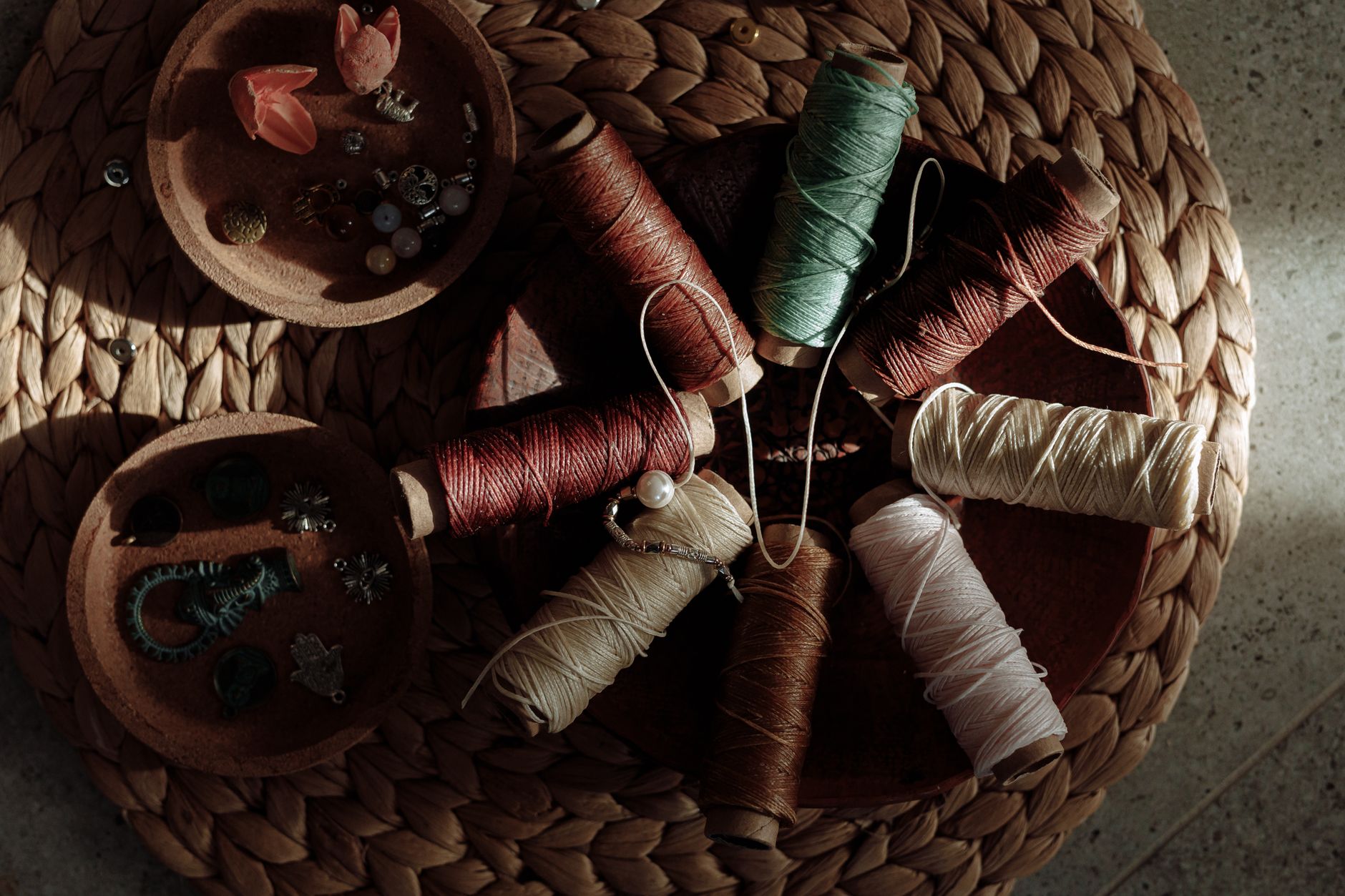 Tracing Nature's Threads: Evolution's Diverse Tapestry