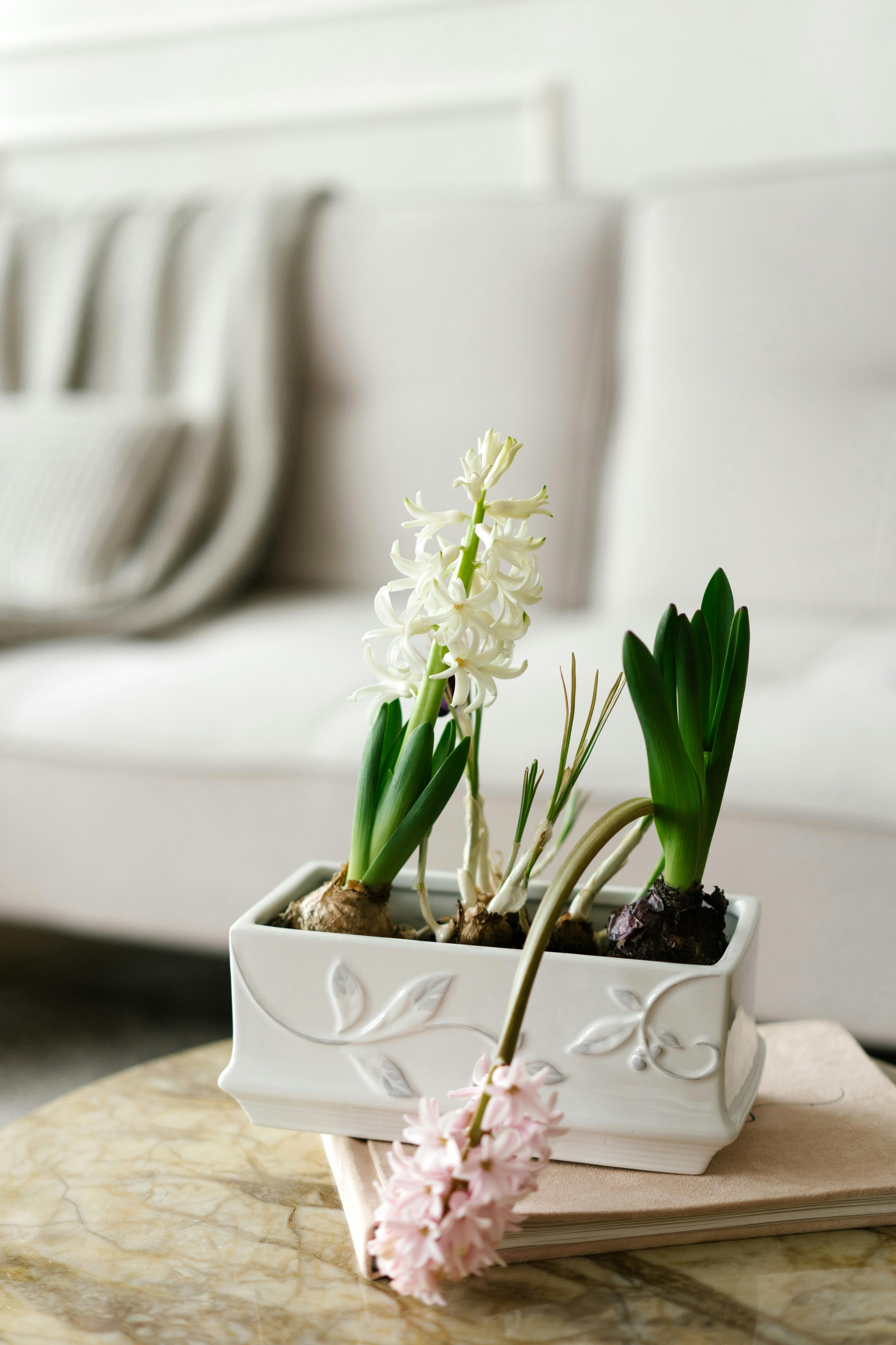 white flowers on white ceramic vase