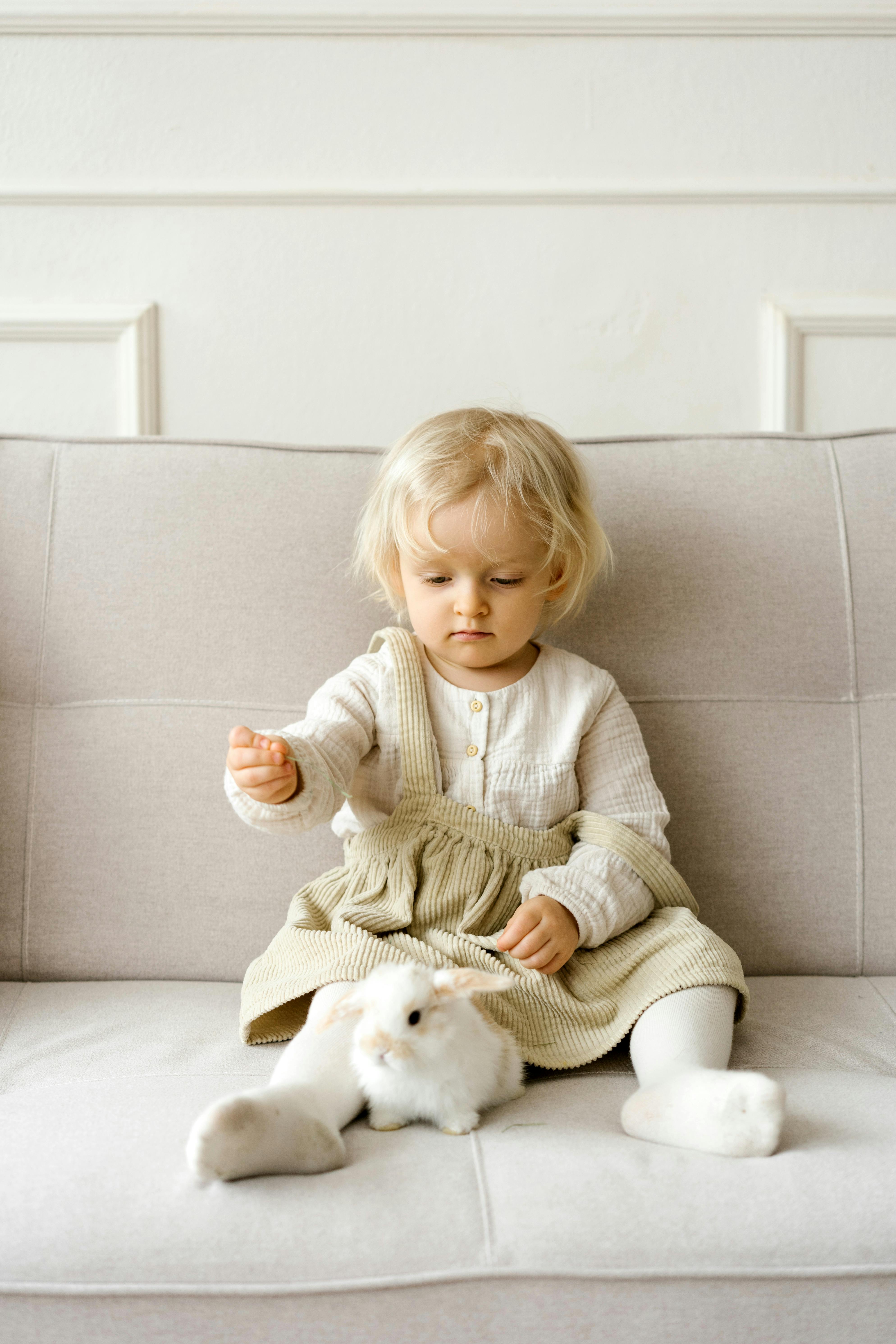 What is a bunny car?