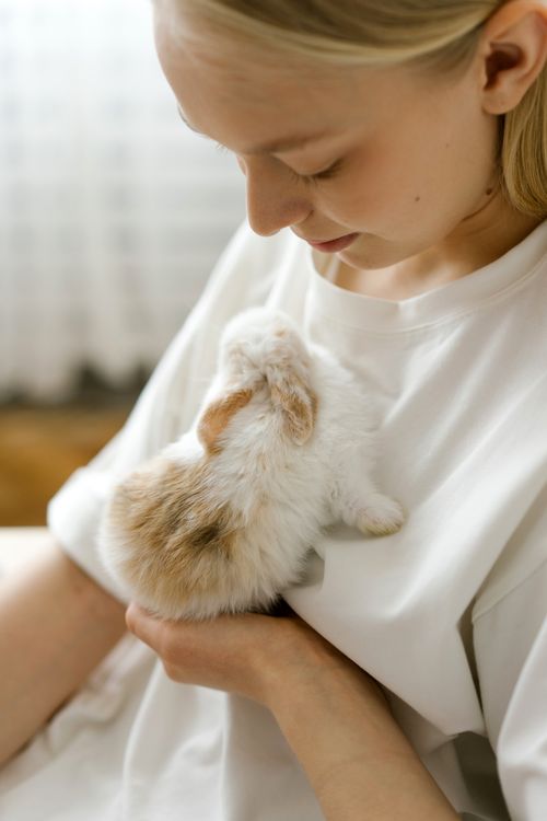 Free A young woman gently holds a fluffy bunny indoors, showcasing a tender human-animal connection. Stock Photo