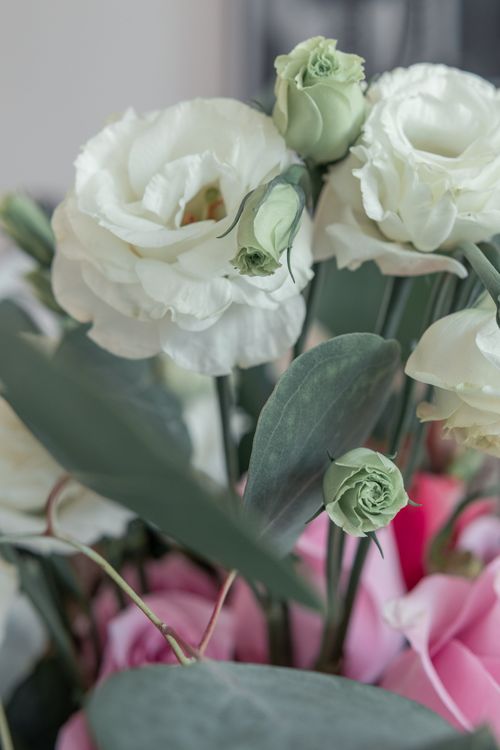 Free Beautiful close-up of white roses and flower buds in a bouquet. Stock Photo