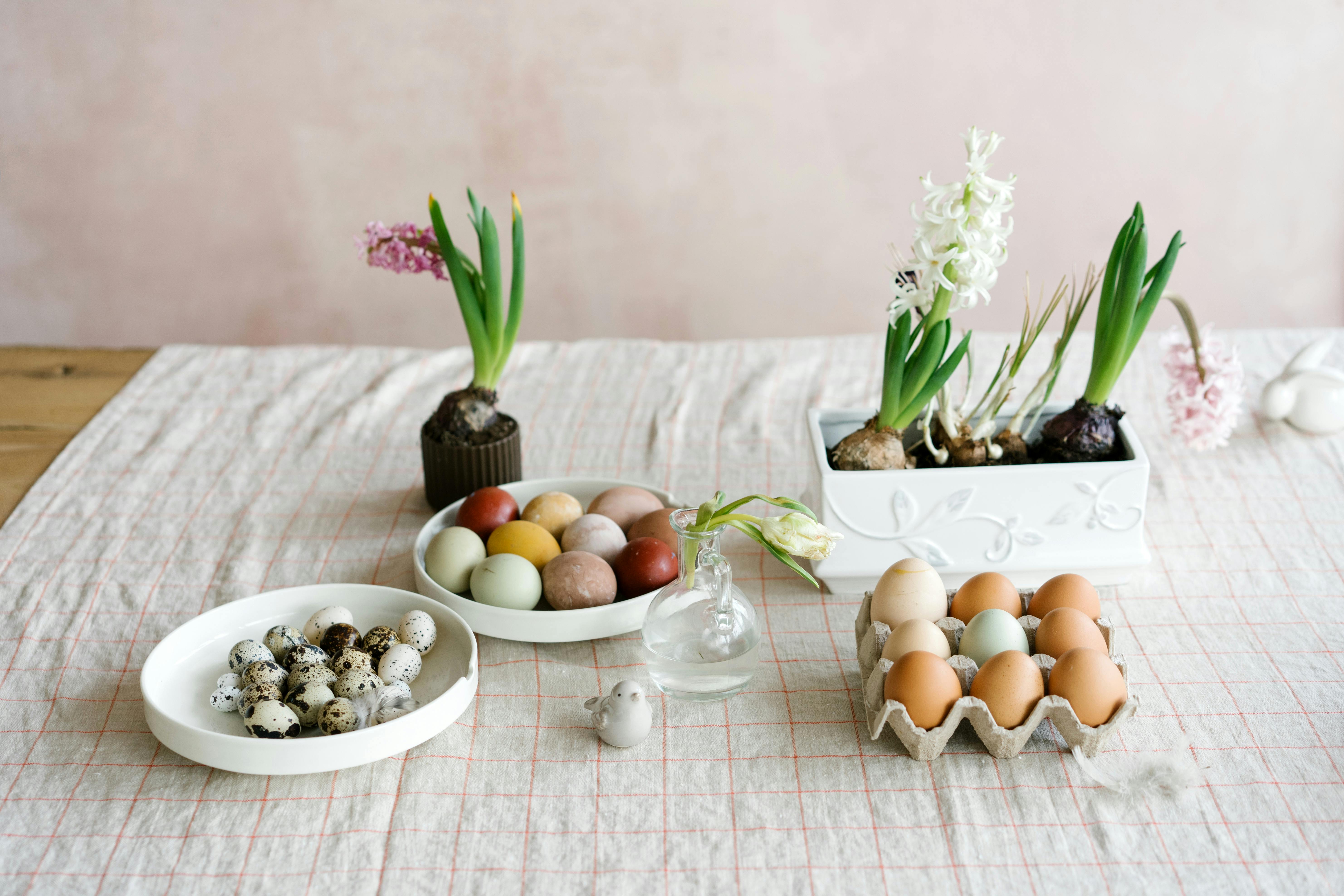 Give your home a spring reset for less than $100 with these DIY home improvement projects — Photo by Mikhail Nilov on Pexels