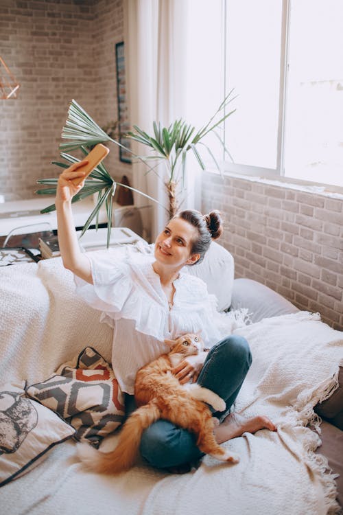 Free From above of smiling female in casual clothes sitting on bed and stroking adorable cat while taking selfie in cozy bedroom at home Stock Photo