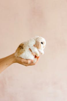 Close-up of a cute baby rabbit being held gently against a soft background. Perfect for animal lovers.