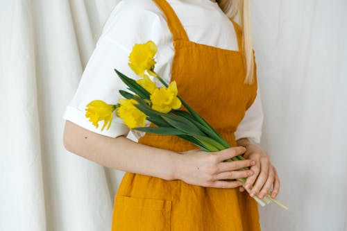 Person Holding Daffodil Flowers