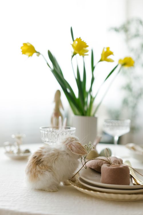 Free Cute fluffy rabbit on a spring-themed table with daffodils and tableware, perfect for festive occasions. Stock Photo