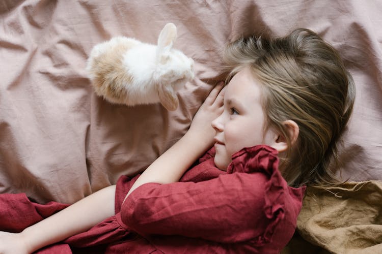 Overhead Shot Of A Girl Lying Near A Rabbit