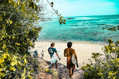 бесплатная Два человека, держа доски для серфинга, идя на пляж Стоковое фото