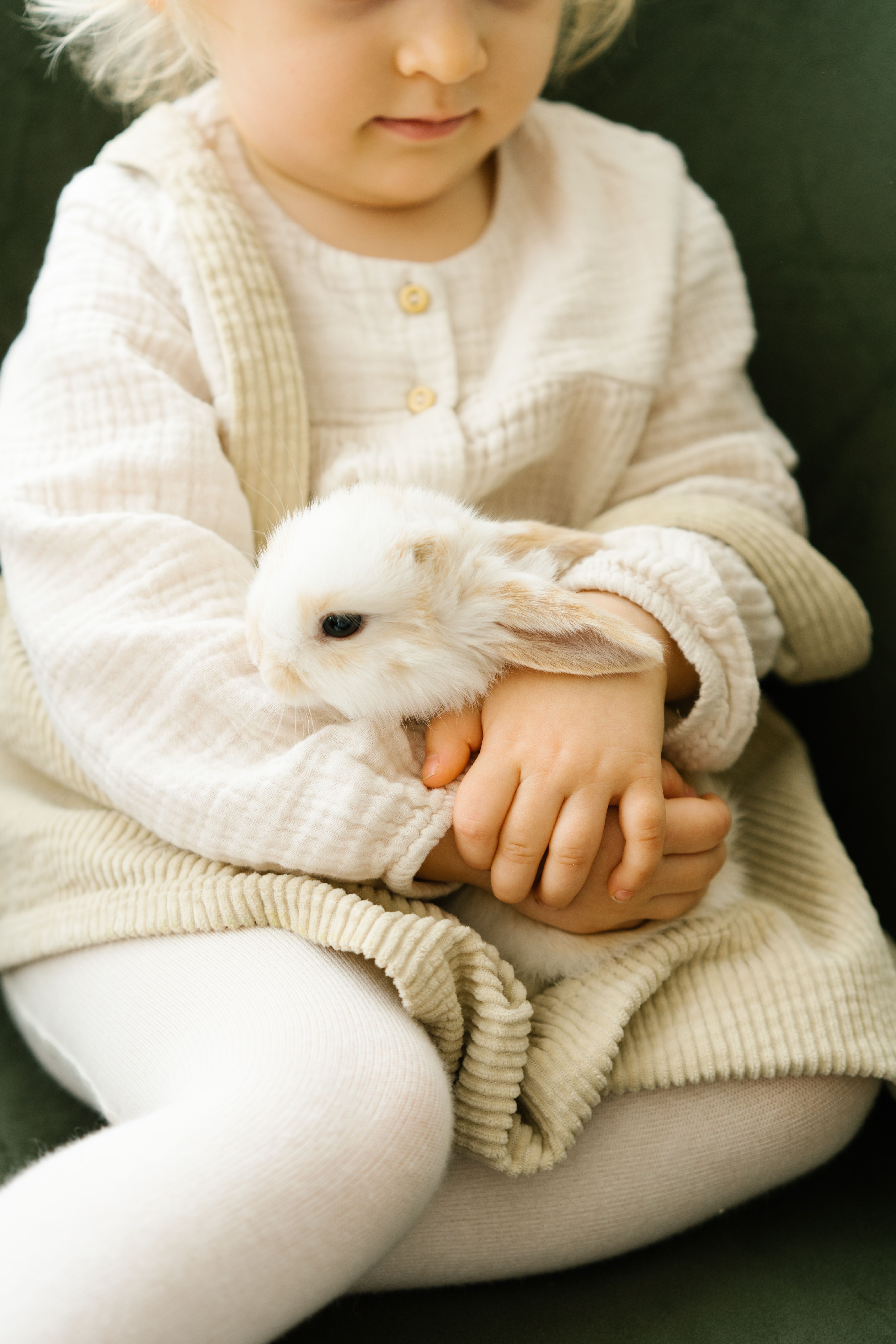 Adorable child gently holding a fluffy white rabbit, creating a cozy indoor moment.