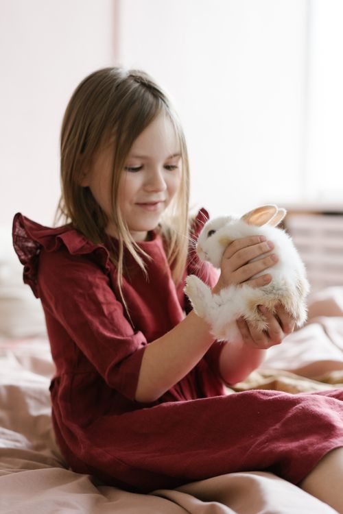 Free A young girl in a red dress gently holding a white rabbit indoors. Stock Photo