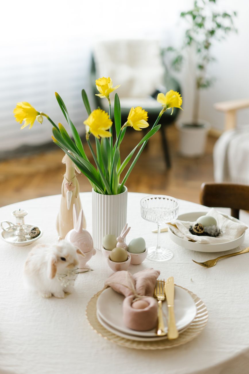 Bunny shaped plates Vergleich 2026