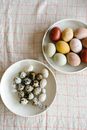 From above of plate with small quail eggs and plate with colorful Easter eggs placed on light tablecloth on table in daylight