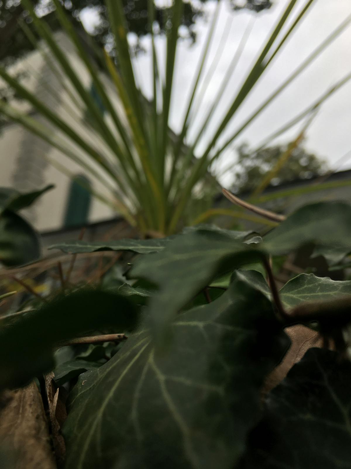 Modern living room with vertical wood slat accent wall behind a television console