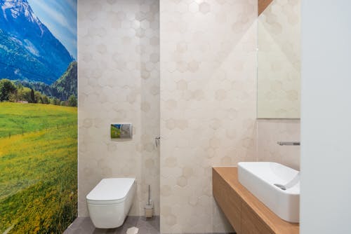 Wooden cabinet with sink near mirror placed near white bidet against wall with decorative wallpaper with nature pattern in contemporary bathroom
