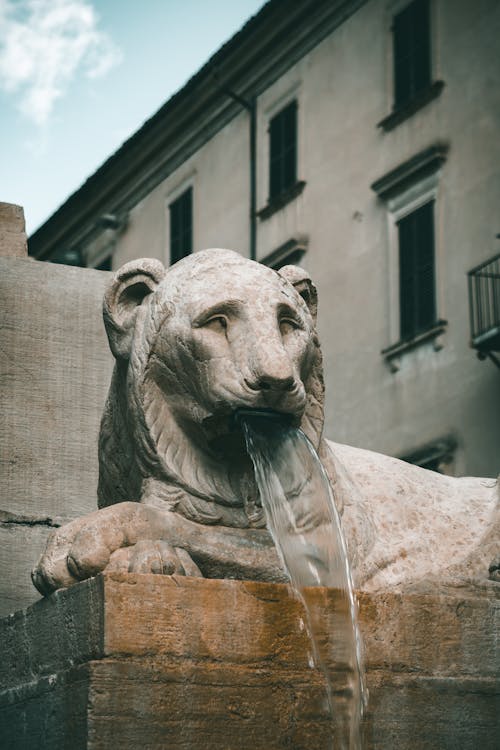 ライオン, 噴水, 垂直ショットの無料の写真素材