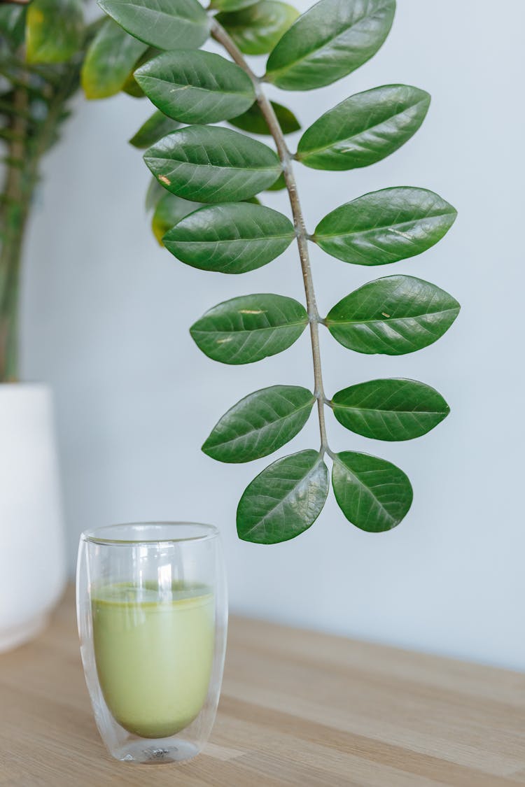 Matcha Tea On A Clear Glass Beside An Indoor Plant On A Wooden Surface