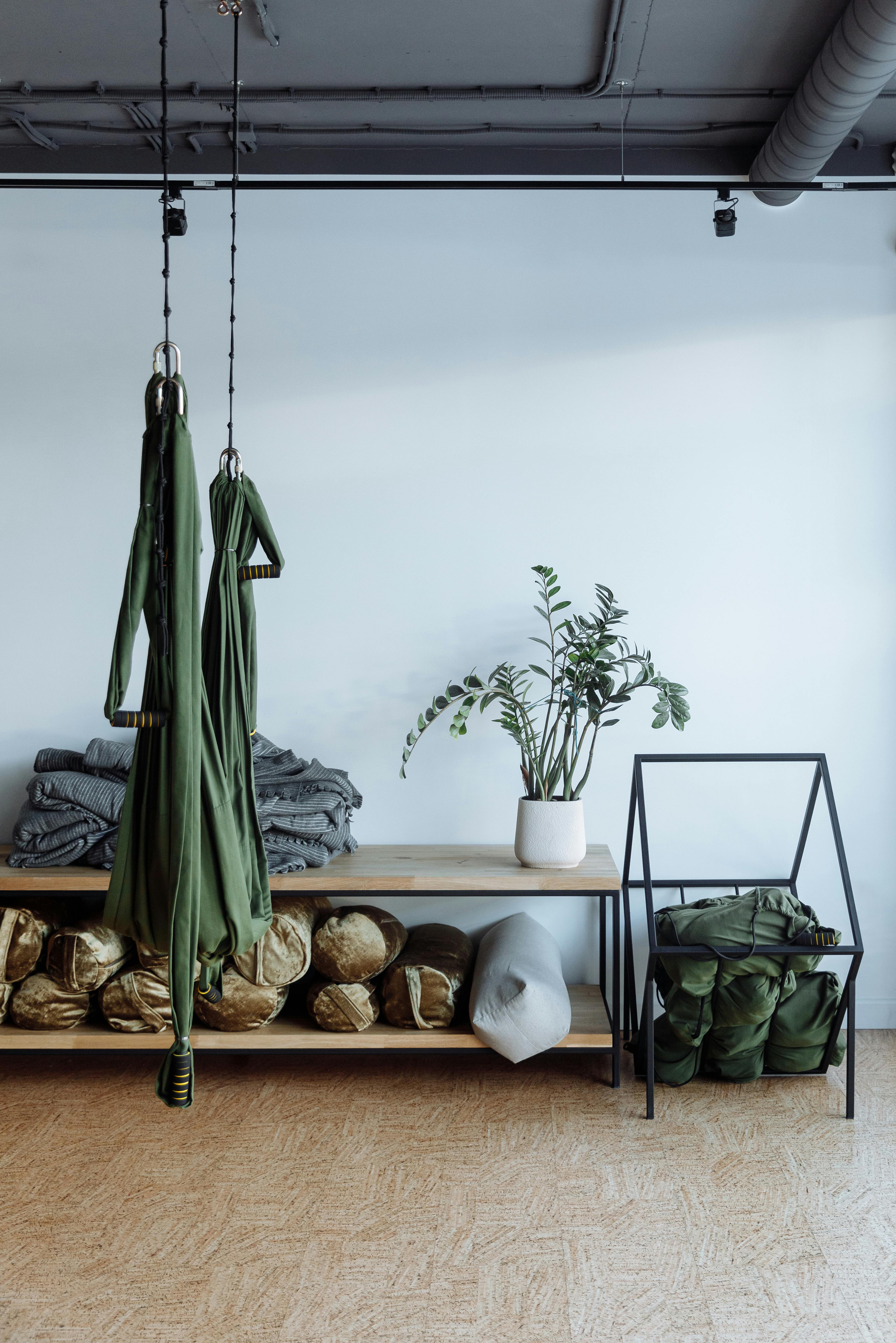Biophilic design elements in wellness space