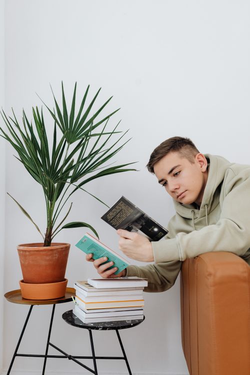 Free Teenage boy reading books in a modern living room with a plant and books stack. Stock Photo